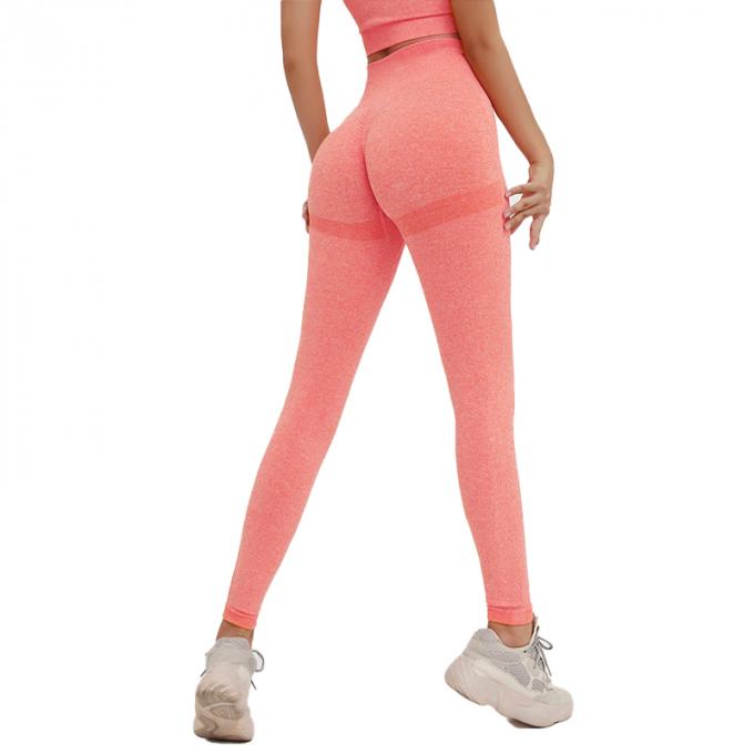 Control de barriga de la cintura alta de las mujeres calientes de Saling que adelgaza las bragas de funcionamiento de la yoga de la mujer de los deportes del tamaño extra grande de las medias de la elevación del extremo del entrenamiento
