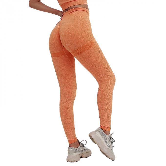 Control de barriga de la cintura alta de las mujeres calientes de Saling que adelgaza las bragas de funcionamiento de la yoga de la mujer de los deportes del tamaño extra grande de las medias de la elevación del extremo del entrenamiento